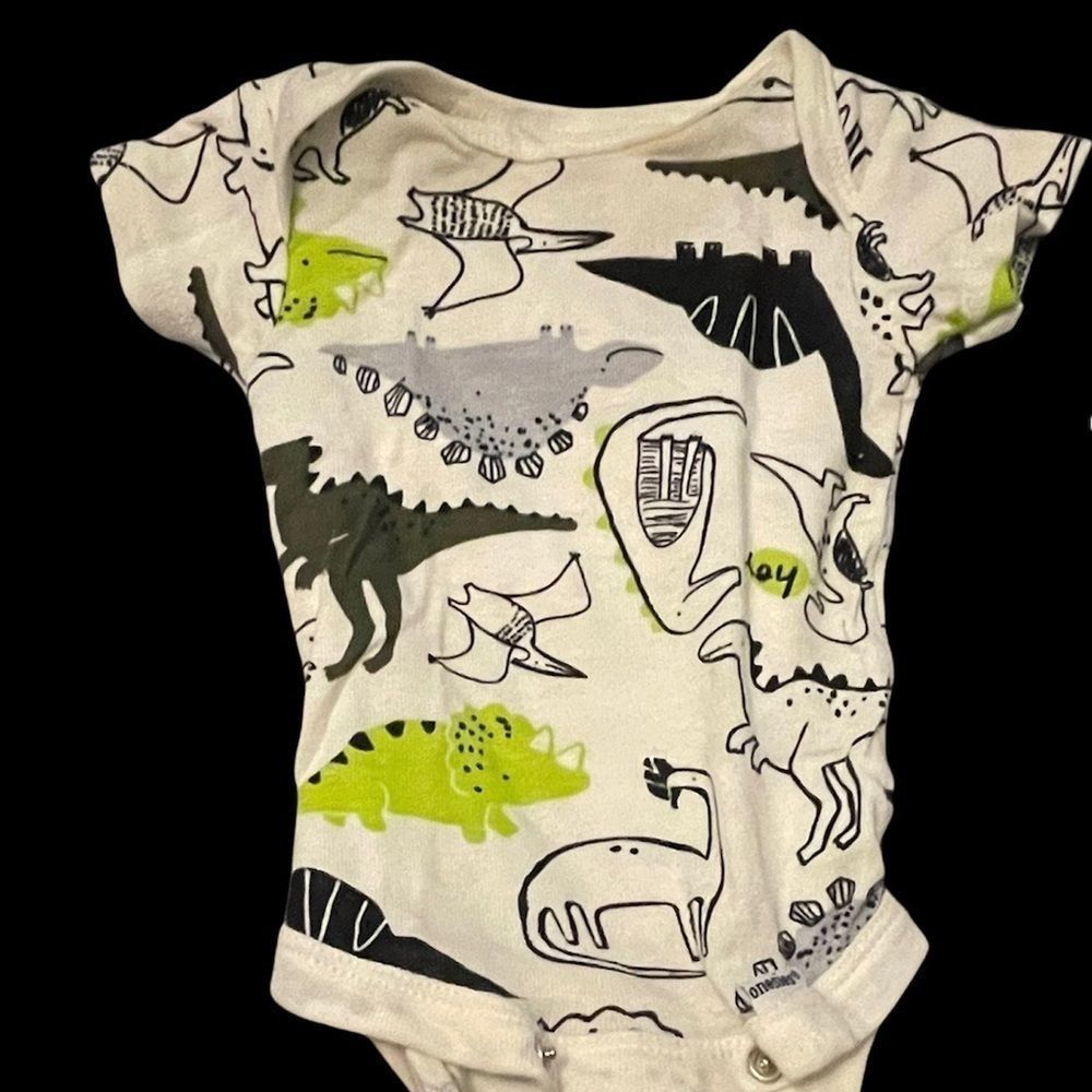 Newborn onesies